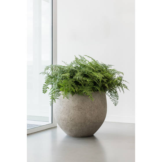 Betonový květináč JUMBO ORB