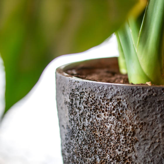 Betonový květináč BERND Imperial Brown