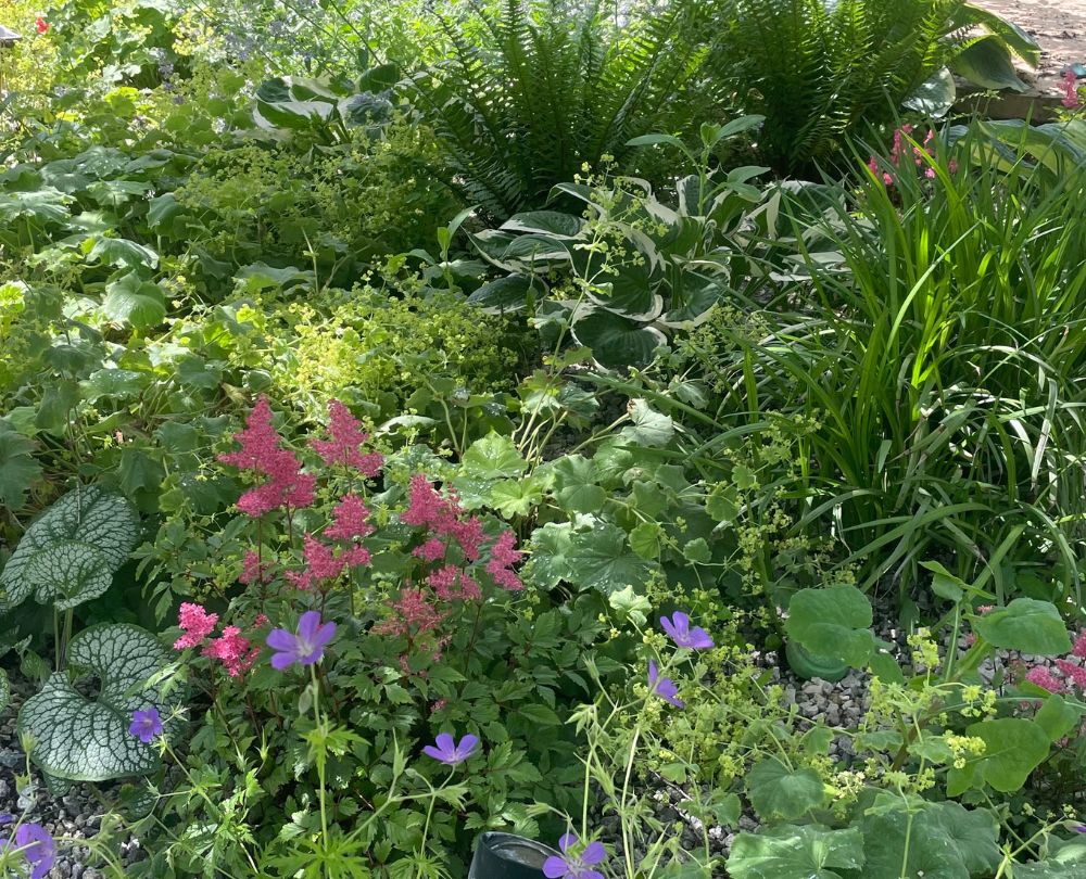 Malá zahrada s trampolínou