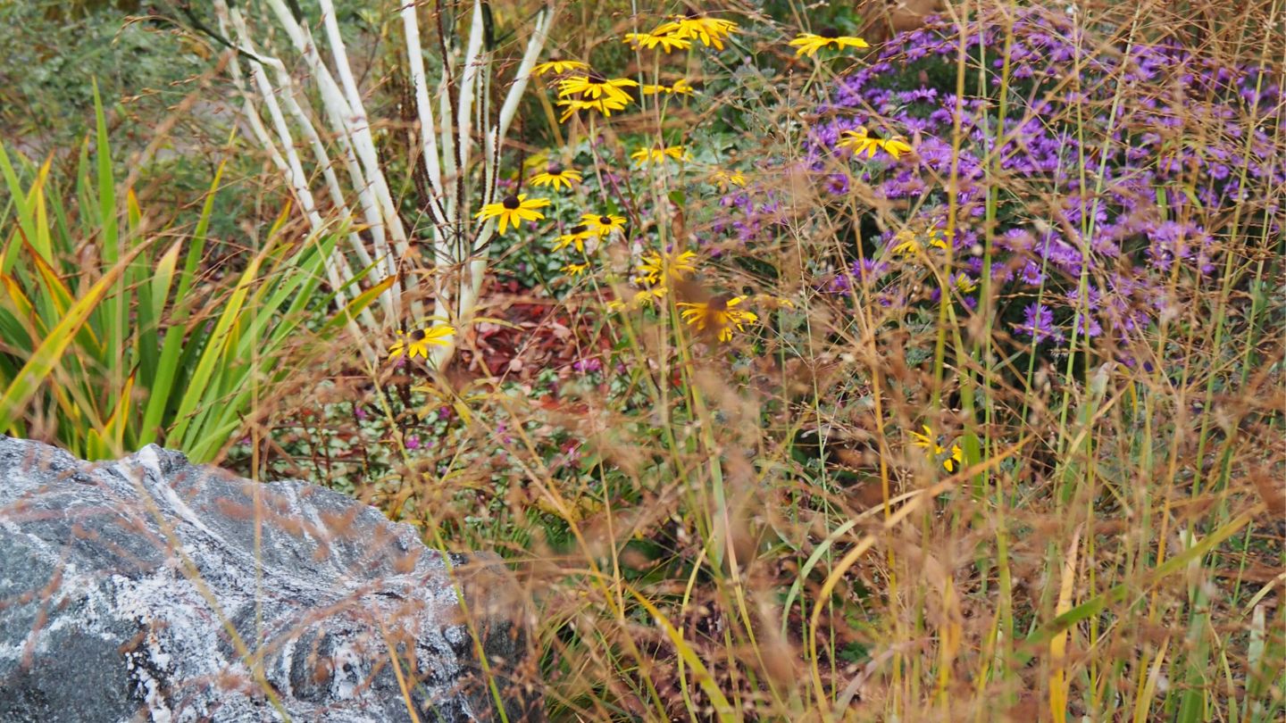 Návrh okrasného záhonu