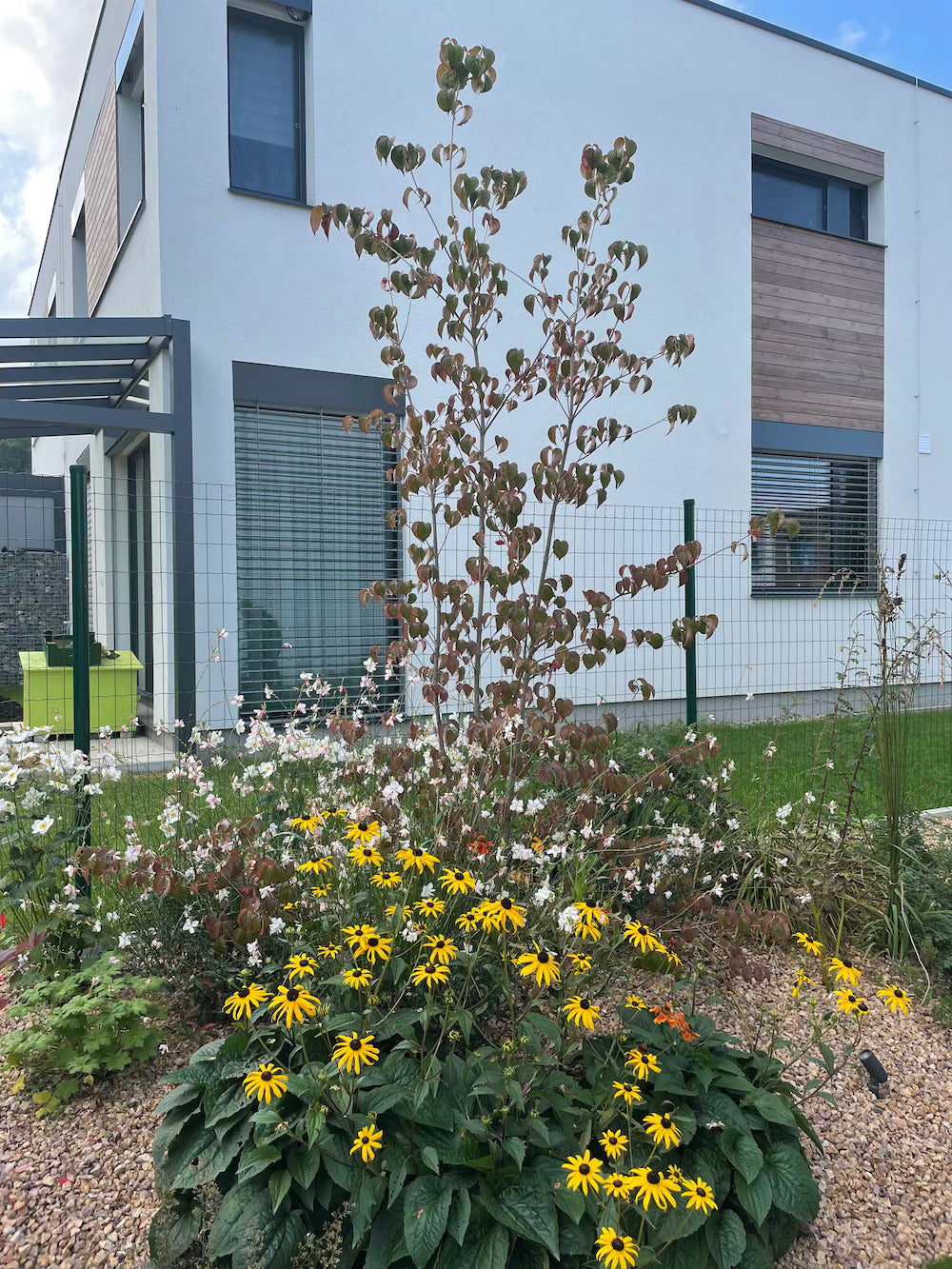 Malá zahrada s terasou