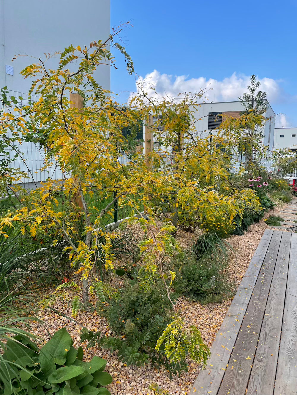 Malá zahrada s terasou