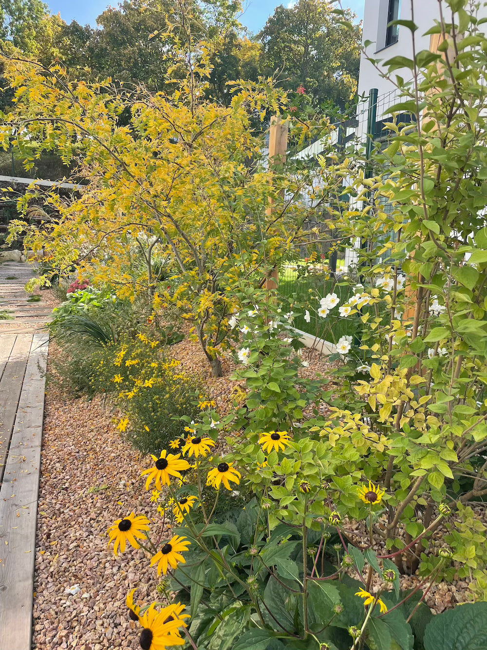 Malá zahrada s terasou