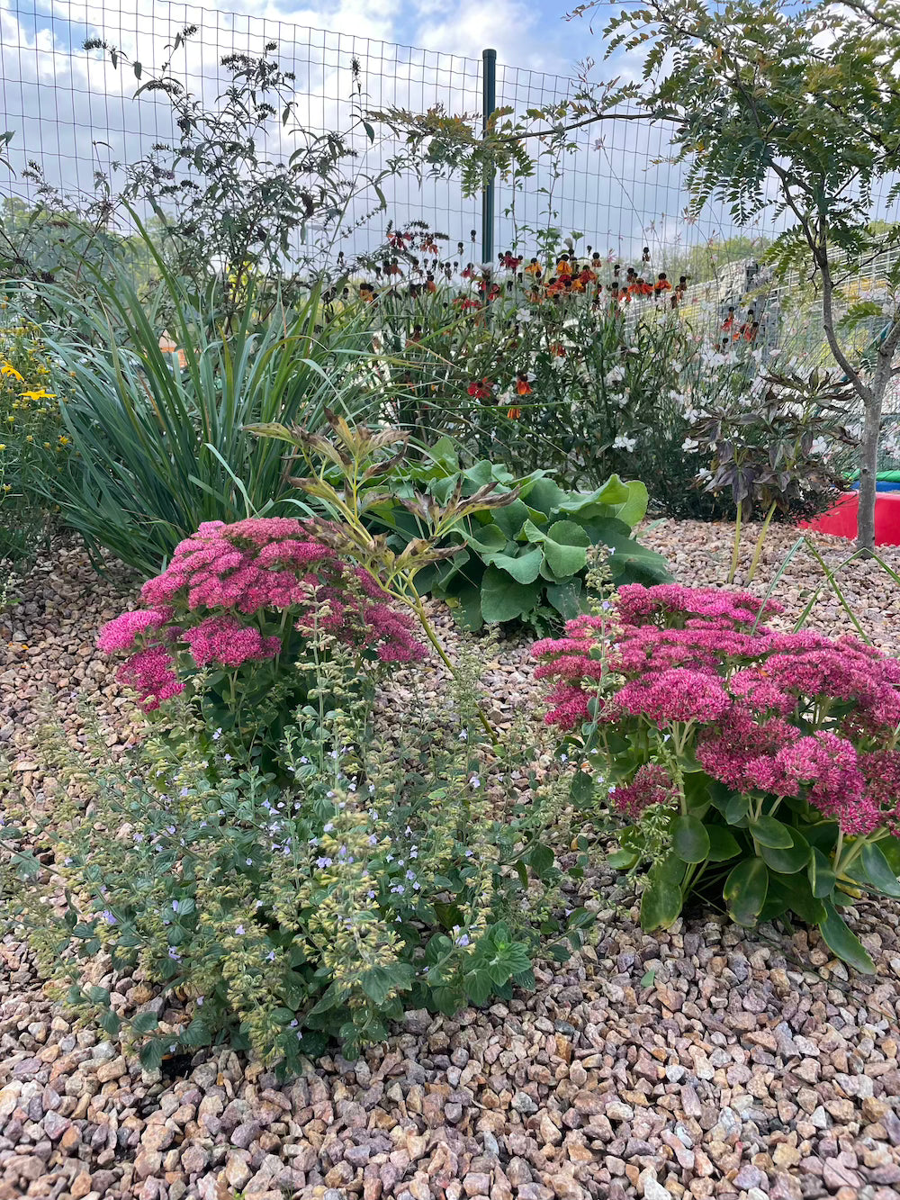 Malá zahrada s terasou