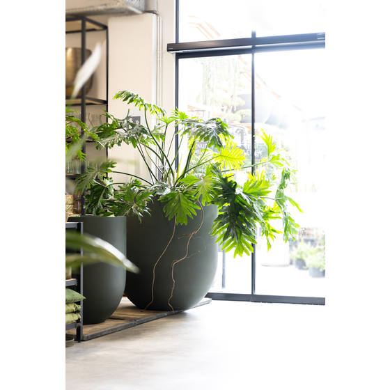 Květináč JUMBO LEX Pine Green