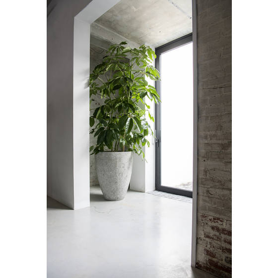 Betonový květináč BERND Imperial White