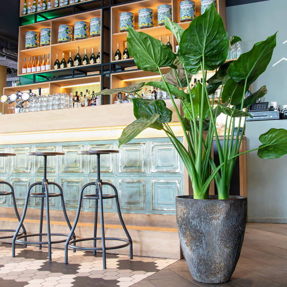 Betonový květináč BERND Imperial Brown