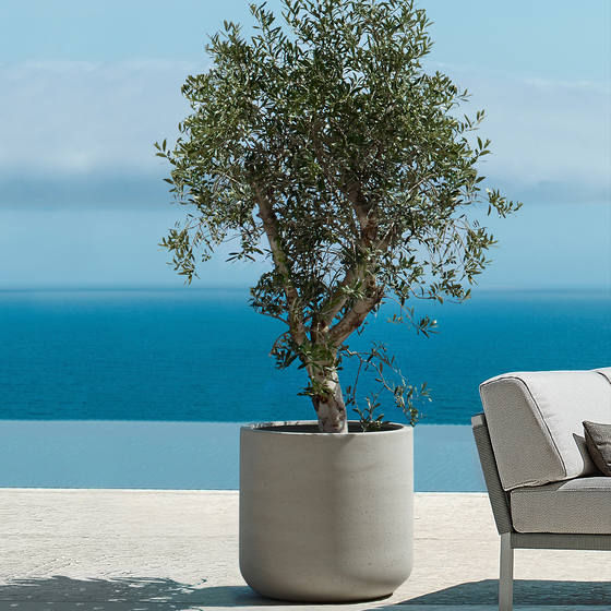 Betonový květináč JUMBO CHARLIE