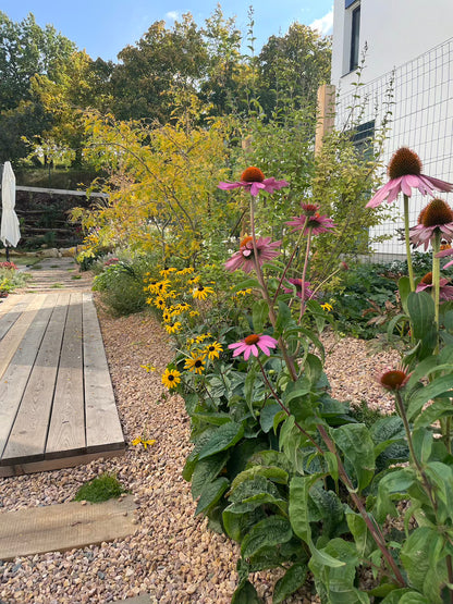 Malá zahrada s terasou